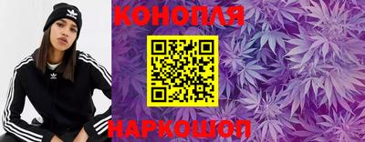 хмурый Аргун